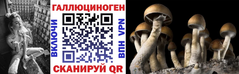 KRAKEN нарко площадка наркотические препараты Псилоцибиновые грибы ЛСД Покровск