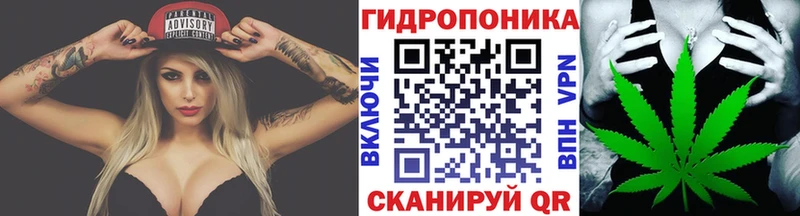 Каннабис гибрид Покровск